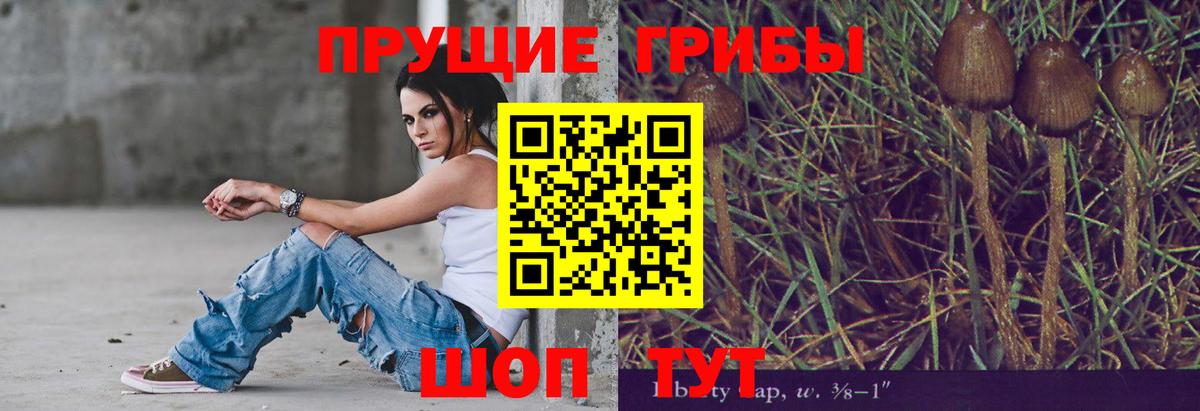 Псилоцибиновые грибы Cubensis  Галлюциногенные грибы ЛСД  Вход с VPN  Елабуга 