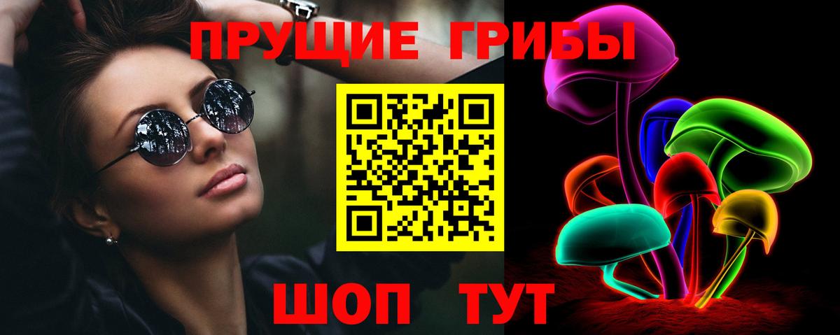 Псилоцибиновые грибы Psilocybine cubensis Елабуга